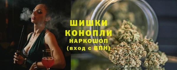 амф Осинники