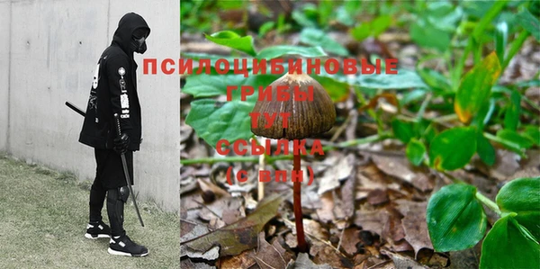 амф Осинники